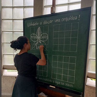 La exposición estará hasta el 31 de mayo con talleres y recorridos guiados por las ilustraciones. Foto: Estudiante de la UNAL Medellín.