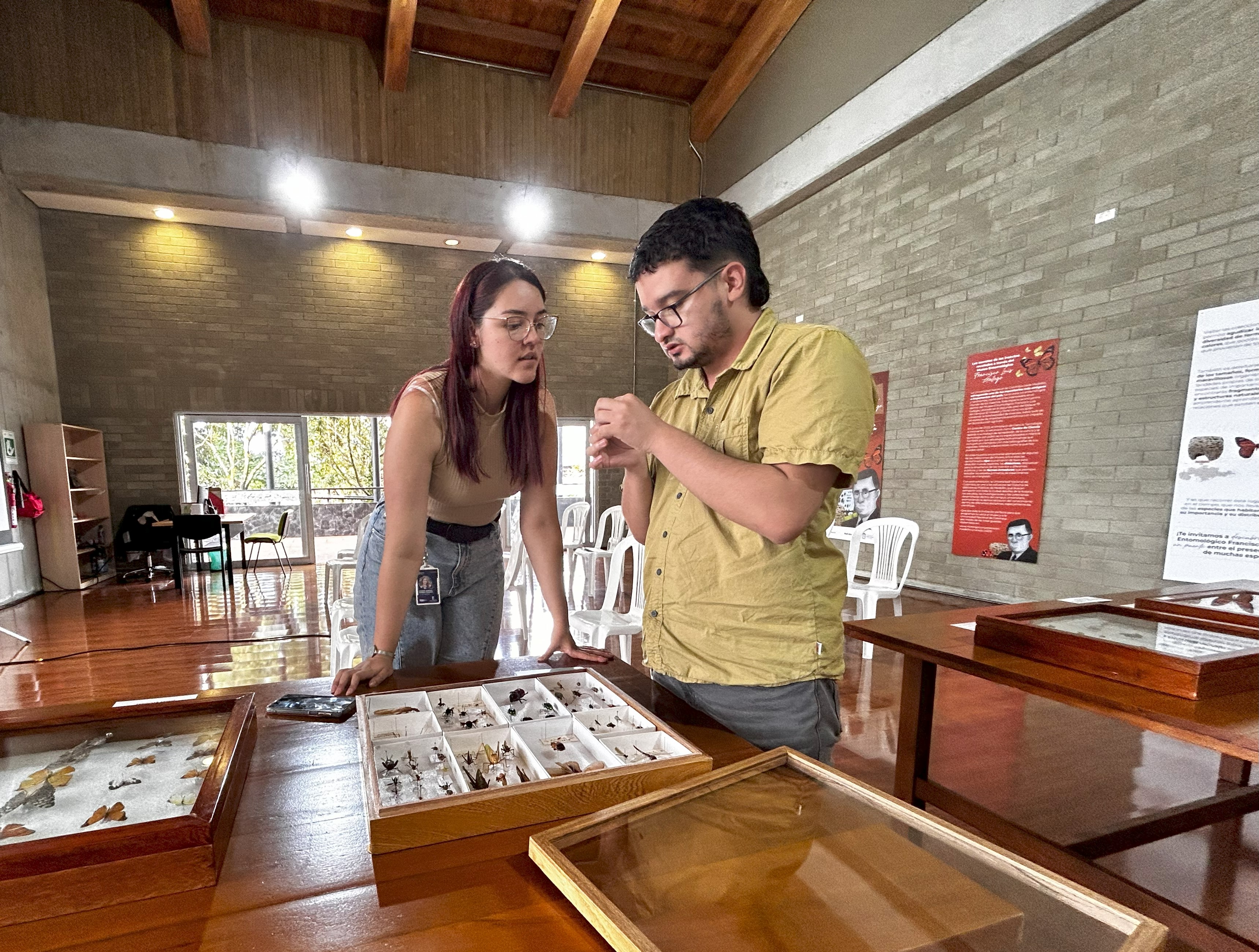 Museo Entomológico Francisco Luis Gallego